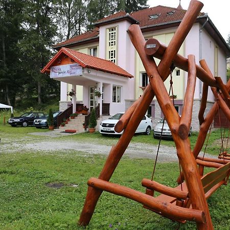 Pension Rose-Trandafirul Борсек Екстериор снимка