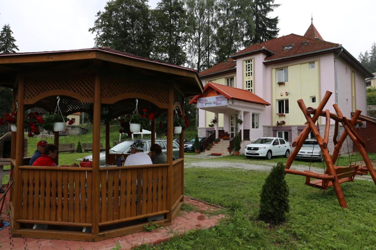 Pension Rose-Trandafirul Борсек Екстериор снимка