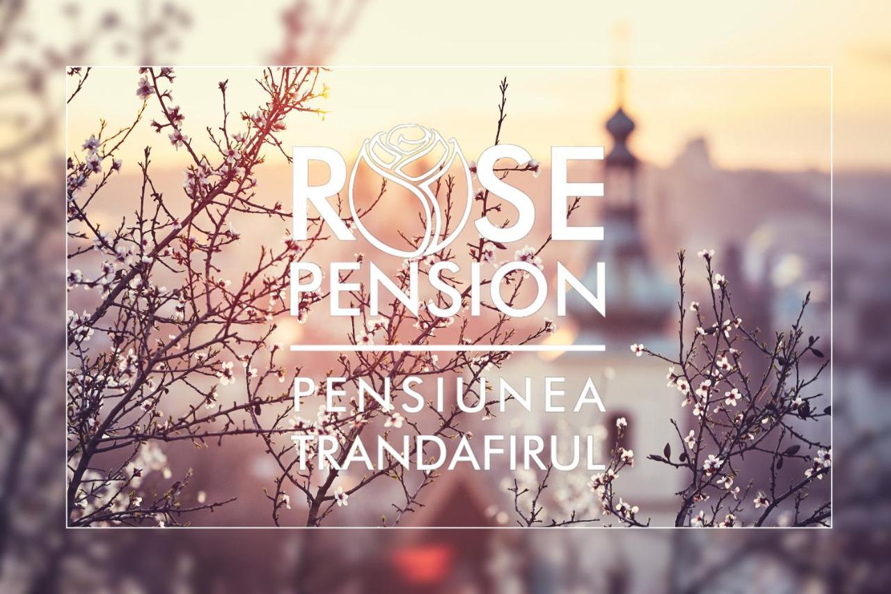 Pension Rose-Trandafirul Борсек Екстериор снимка