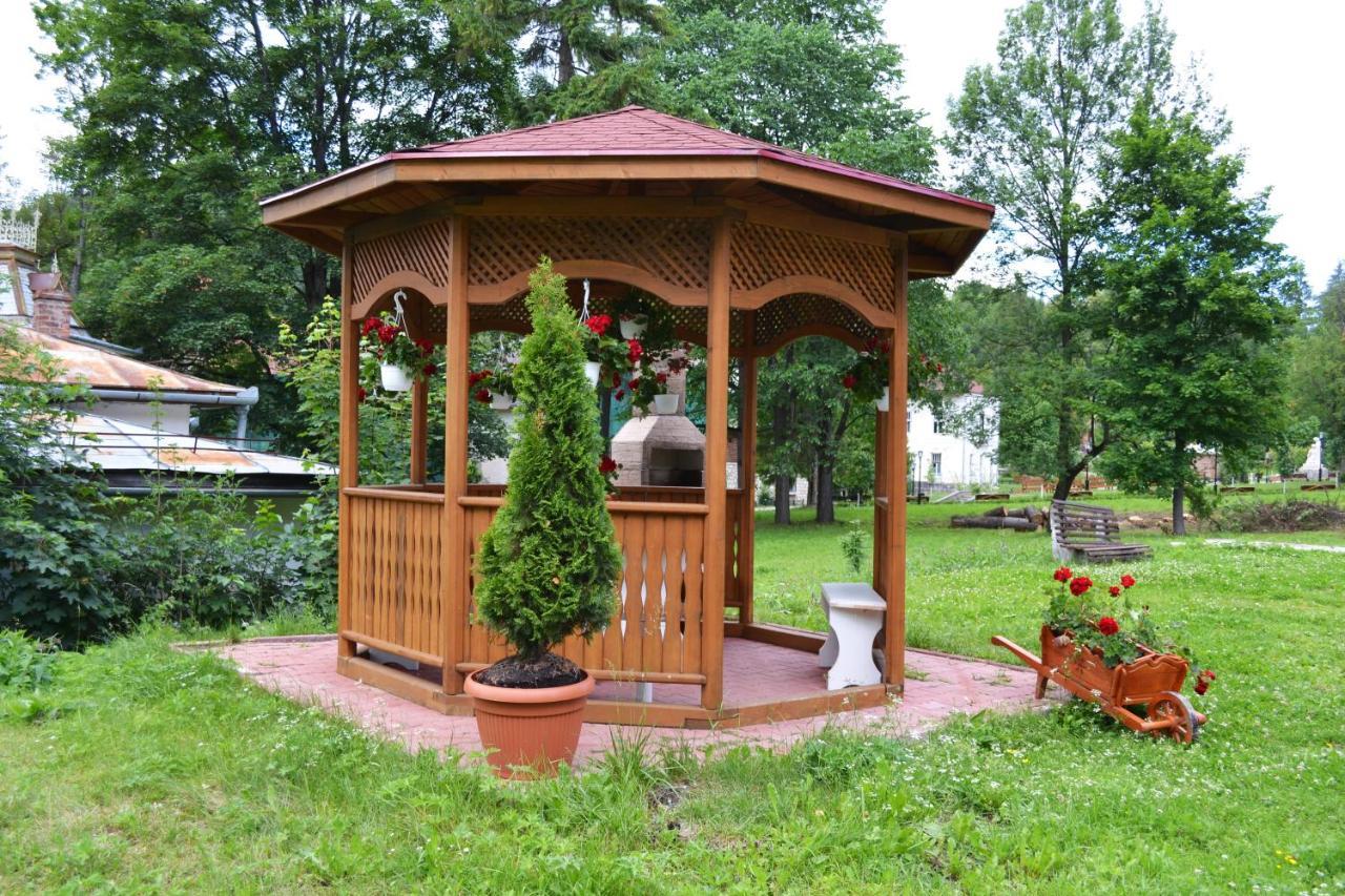 Pension Rose-Trandafirul Борсек Екстериор снимка