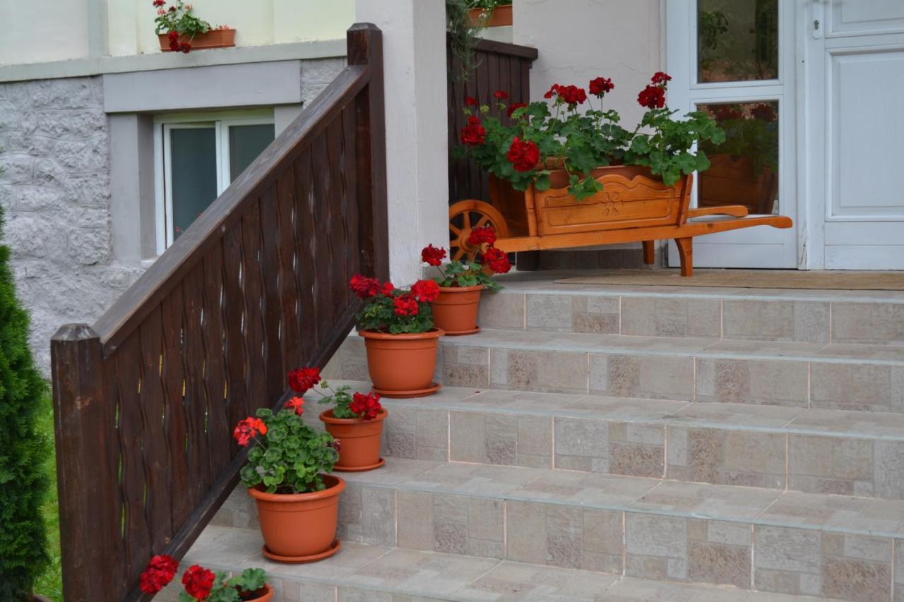 Pension Rose-Trandafirul Борсек Екстериор снимка
